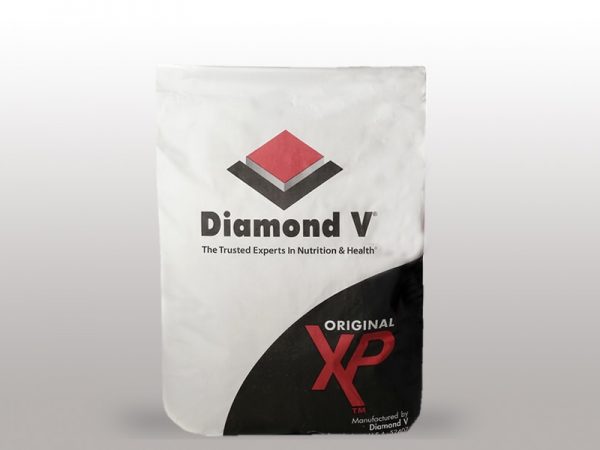 Diamond V XP