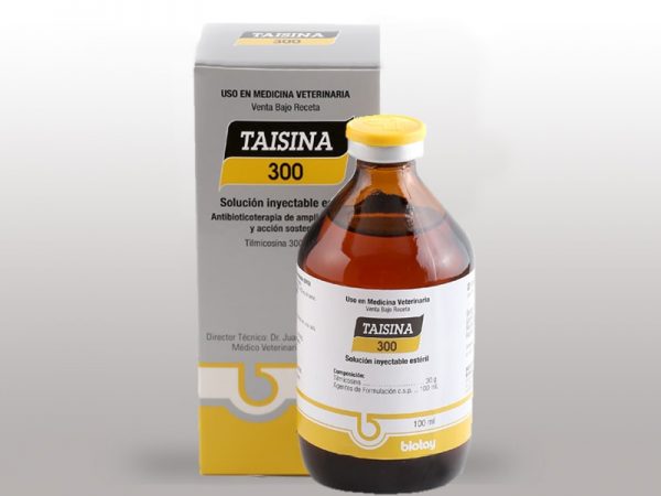 Taisina 300